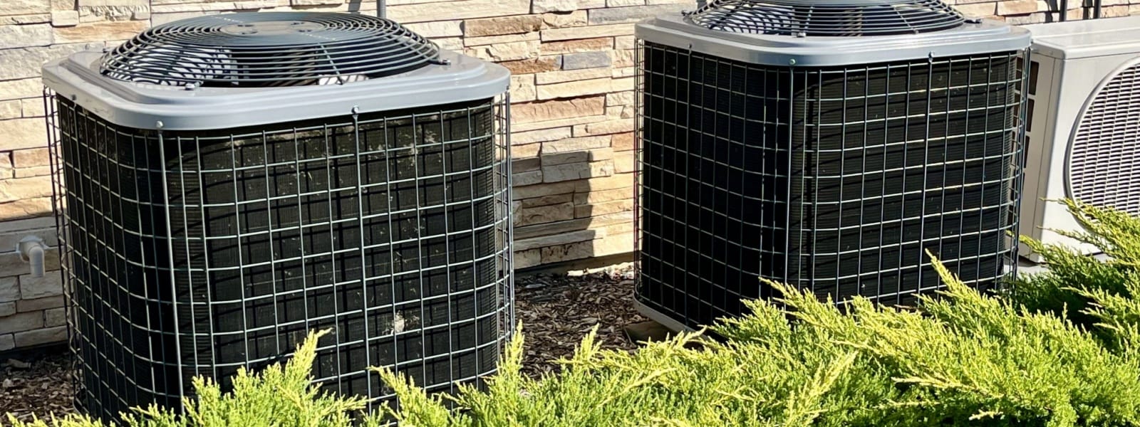 Service Areas 1 Service Areas